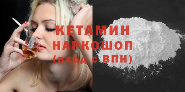 ECSTASY Гусь-Хрустальный
