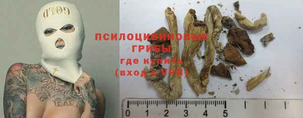 героин Горняк
