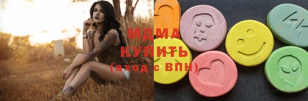 ECSTASY Гусь-Хрустальный