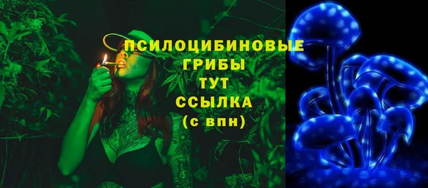 мдма Горнозаводск