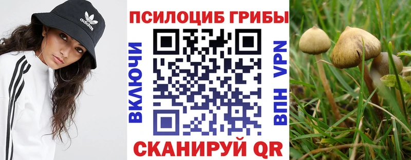 Галлюциногенные грибы MAGIC MUSHROOMS  Купить  Плёс 
