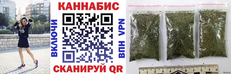 Купить где Плёс Марихуана сатива